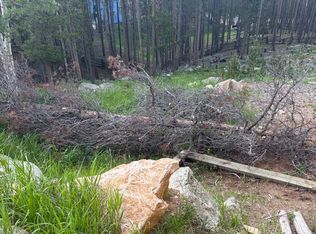 508 Paiute Rd, Evergreen, CO 80439