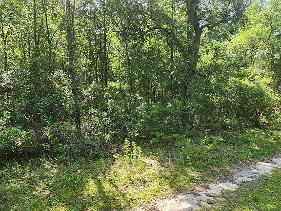 4th image of LOT 239 NW 23rd Ave
