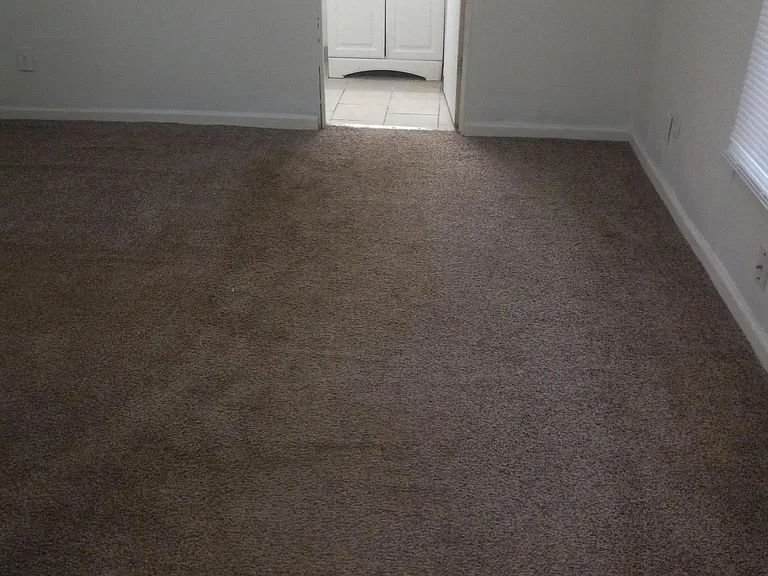 145 Kelly Ln — Photo 6