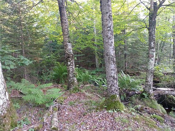 5th image of Lot 10 Corvus Lane