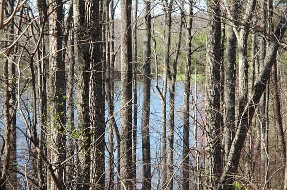 3rd image of 48 Mountain Laurel Trl