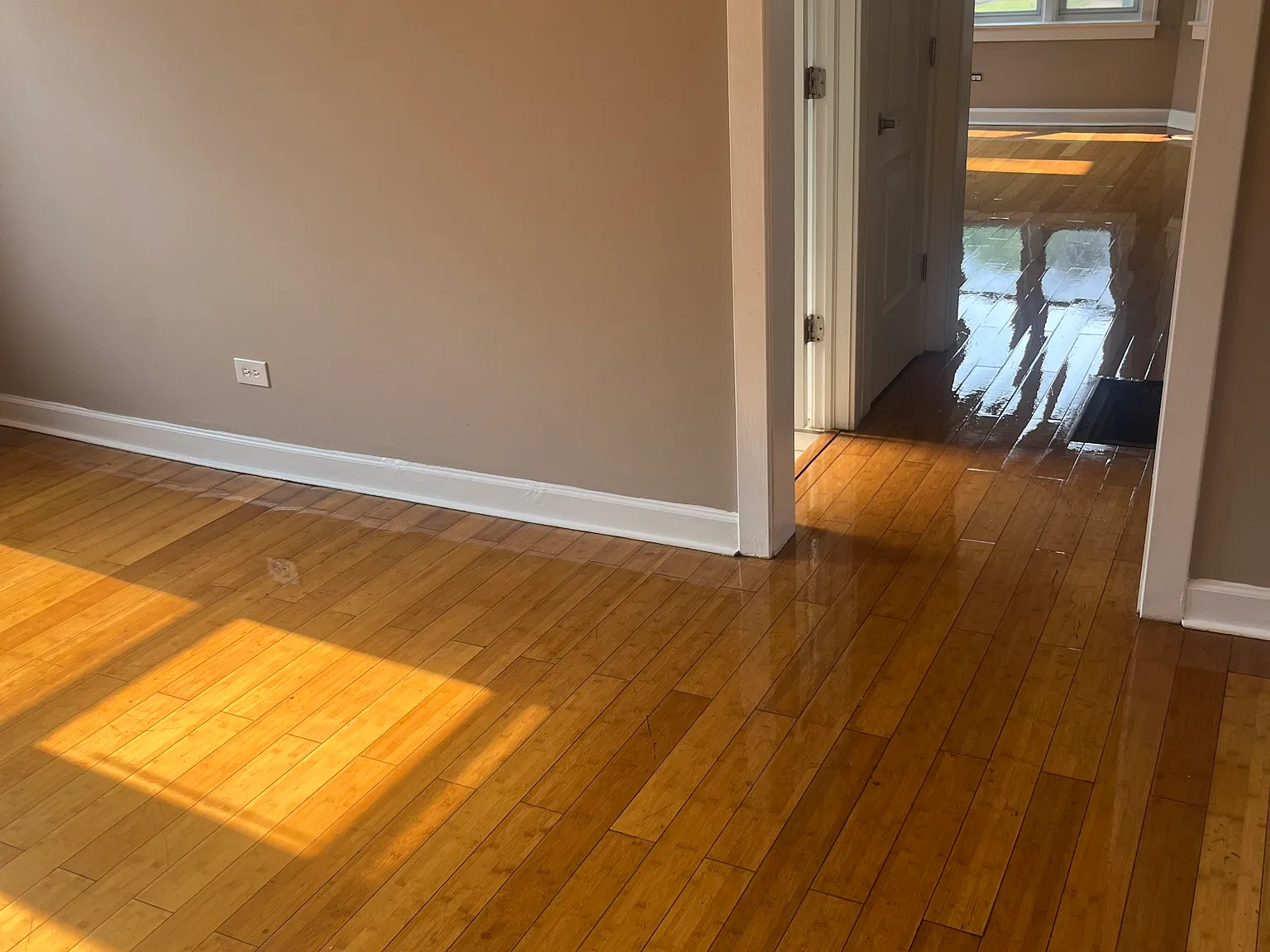 2 bed, 1000 sqft, $1,500 — Photo 3
