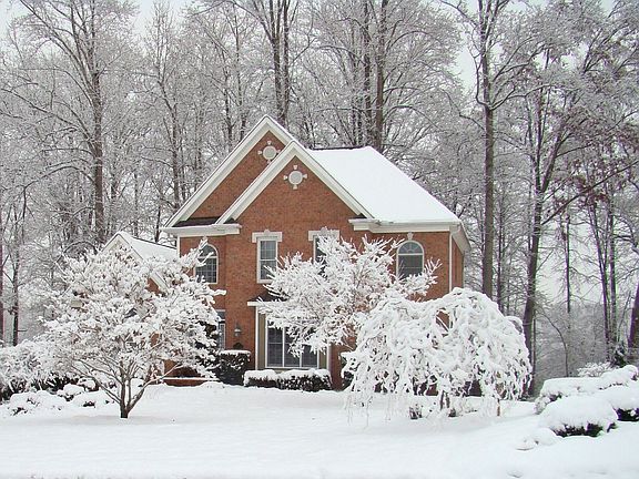 2010 WINTER