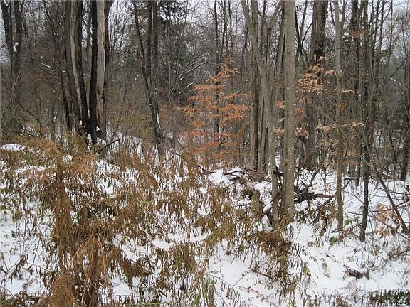 3rd image of 320 Parkside Dr