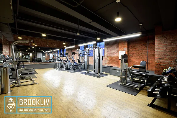 Rented by null | media 52