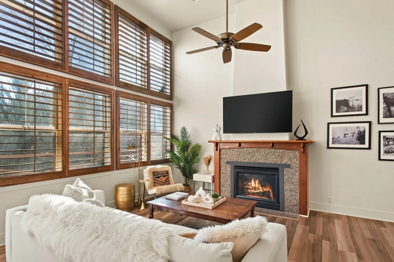 536 Evans Ct — Photo 4
