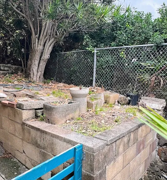 1774J Palolo Ave — Photo 10