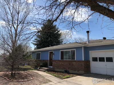1114 Walnut St, Windsor, CO, 80550