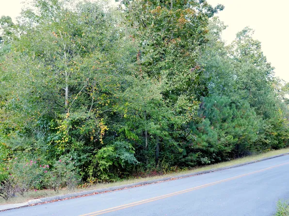 0 Country Way #11, Cohutta, GA 30710