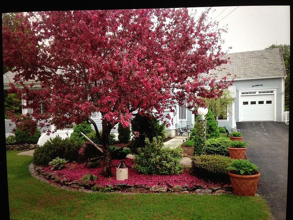 Spring is here