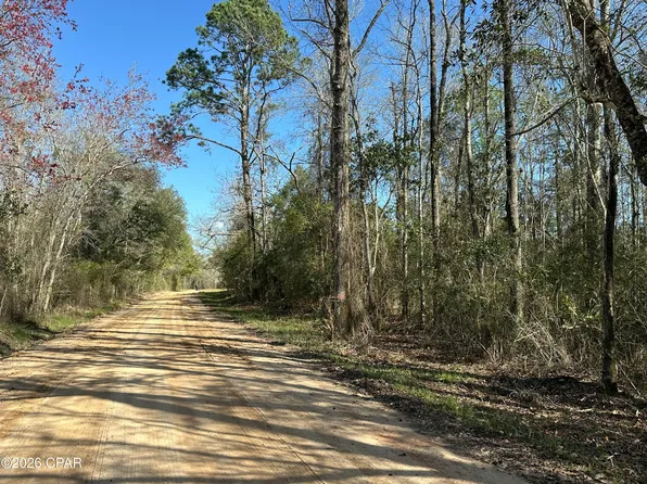 TRACT 6317 N Harris Stevenson Rd, Bonifay, FL 32425