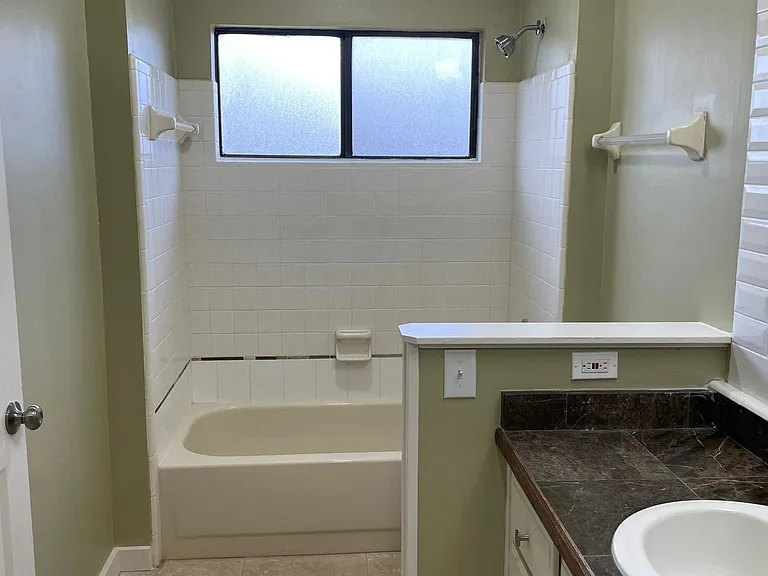 Master Bath Tub/Shower