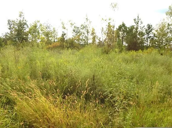 700 Coleman Rd, Thaxton, MS 38871