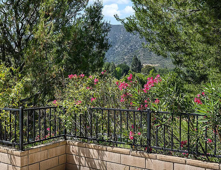 781 Starlight Heights Dr — Photo 8