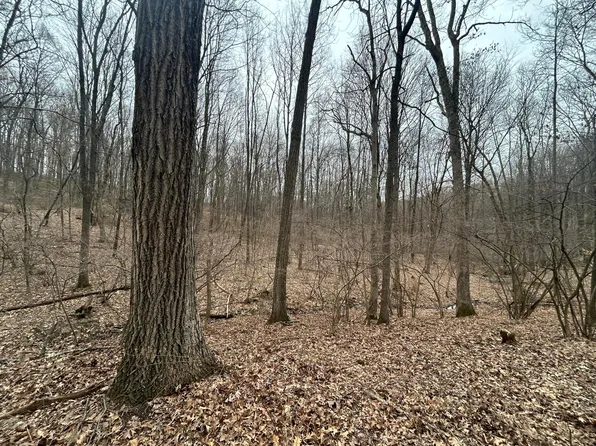 0 Eddyburg Rd NE, Newark, OH 43055