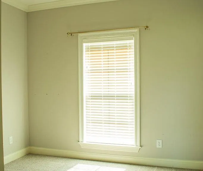 216 Buttonwood Ln — Photo 18