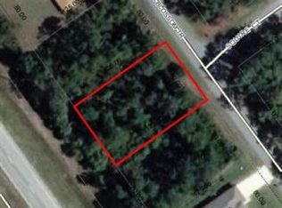 26 Squash Blossom Trl, Palm Coast, FL 32164