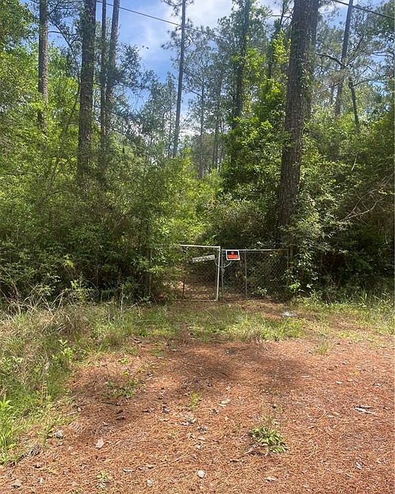1st image of 29244 Cyprian Dr