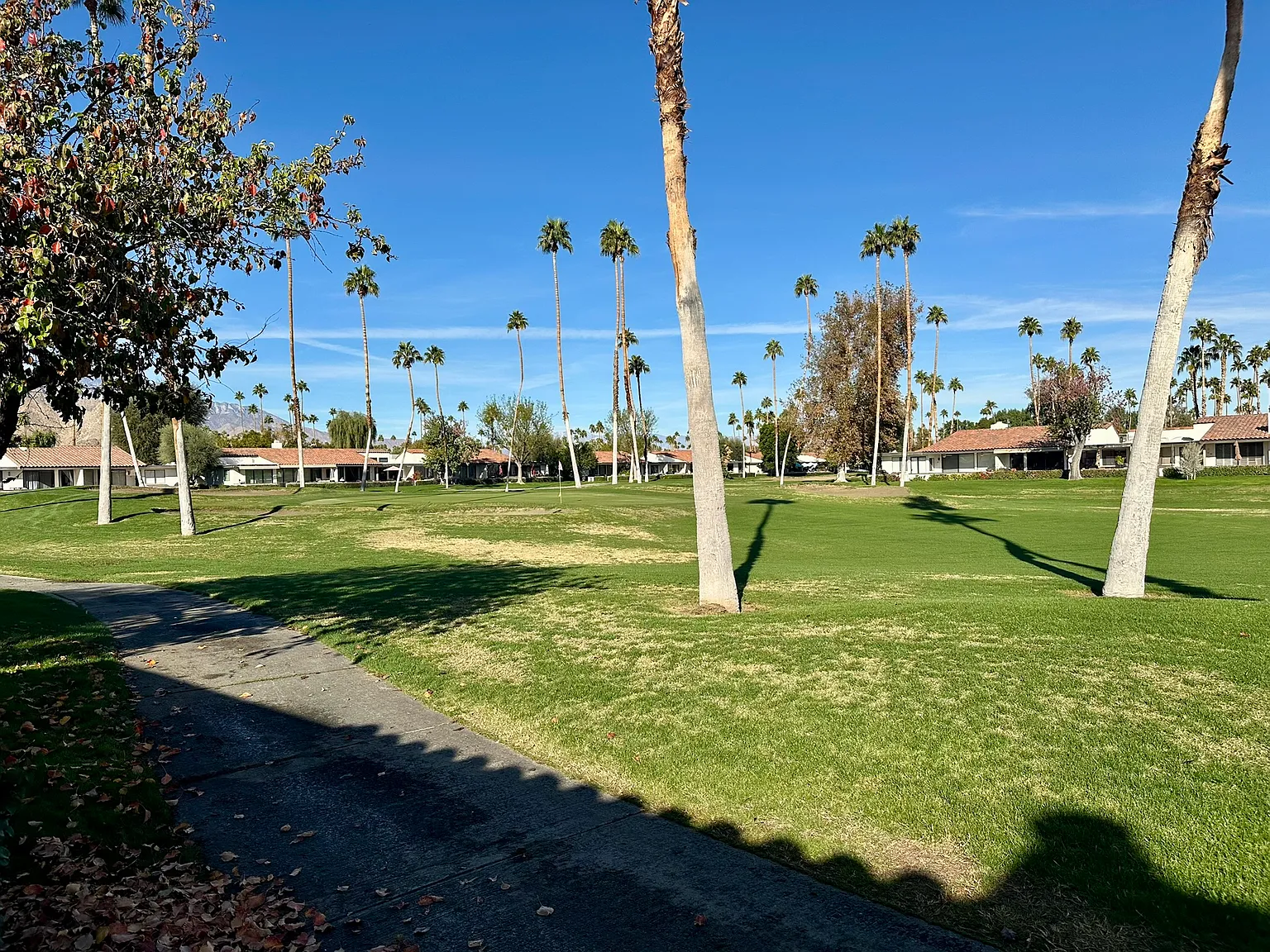 2 bed, 1582 sqft, $5,000 — Photo 4