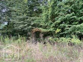 4th image of 287 County Road 771
