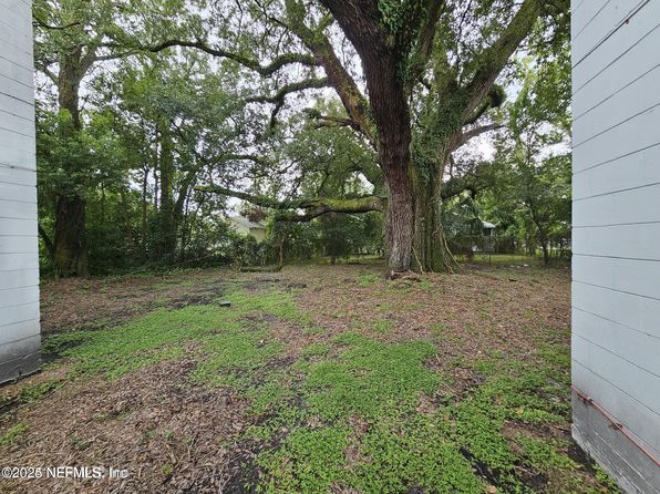 jacksonville-florida-154609851 picture