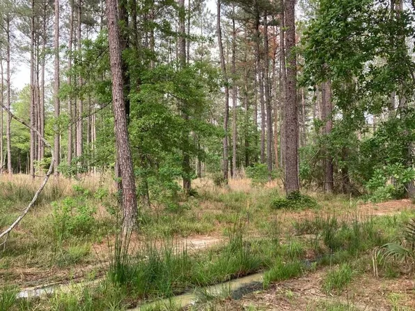63 Tbd La Hwy, Livingston, LA 70754