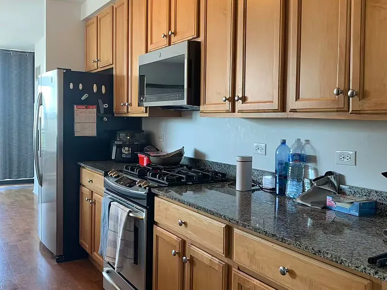 1160 S Michigan Ave #1103 — Photo 6
