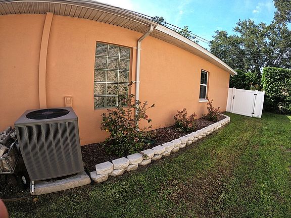 Cranberry hibiscus side yard
