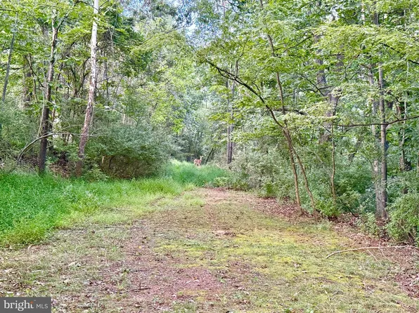 LOT 11 Smith Hts, Franklin, WV 26807