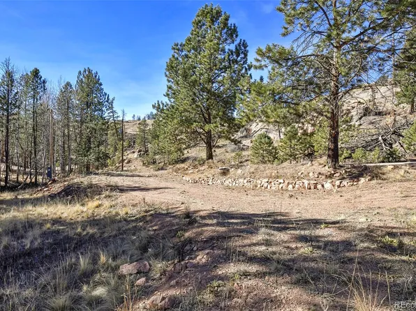 238 Chateau West Drive, Florissant, CO 80816