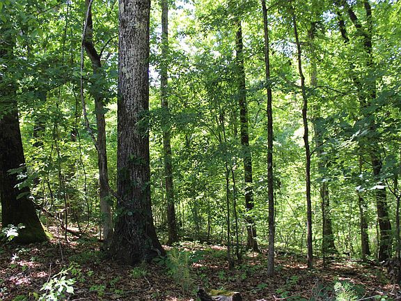 2nd image of 0 Lake Hardeman Rd