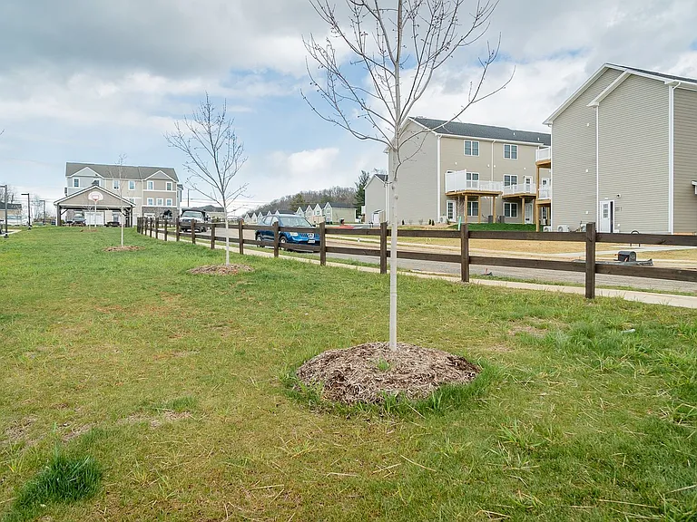 1308 Palomino Trl — Photo 34