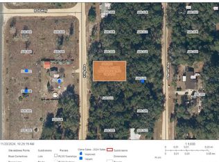 Kitty Avenue Lot #6, Interlachen, FL 32148