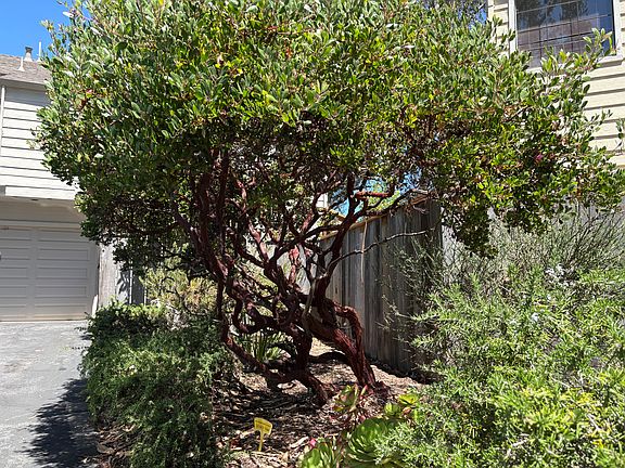 Meticulously maintained common landscape