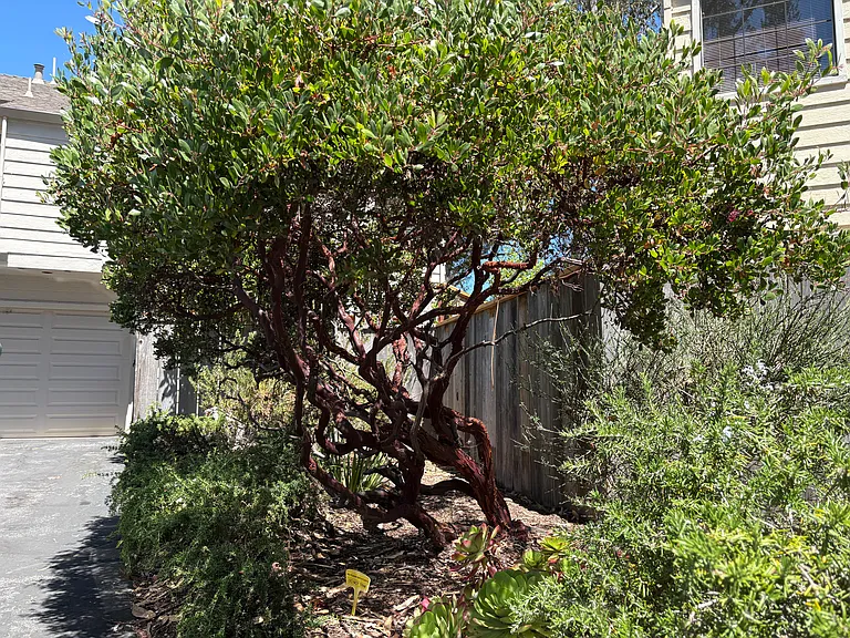 Meticulously maintained common landscape
