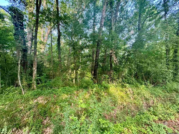 LOT Hazeloak Dr #F, Baker, LA 70714
