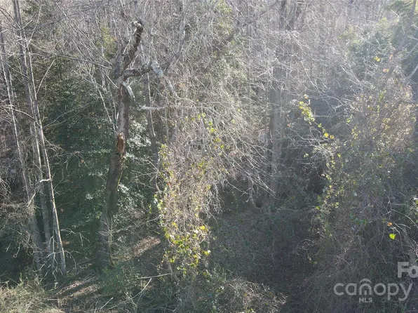 7334 McDuffy Rd, Connelly Springs, NC 28612