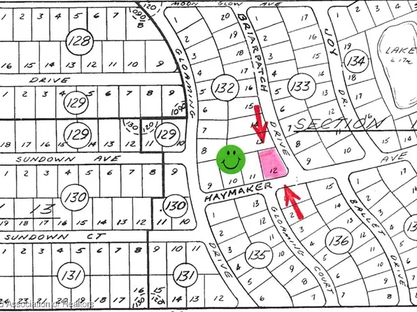 472 Haymaker Ave, Lake Placid, FL 33852