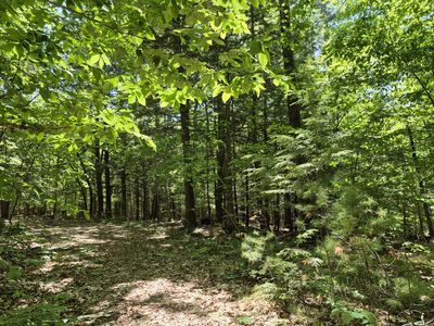 Lot 36A Foster Lane, Belgrade Lakes, ME, 04918