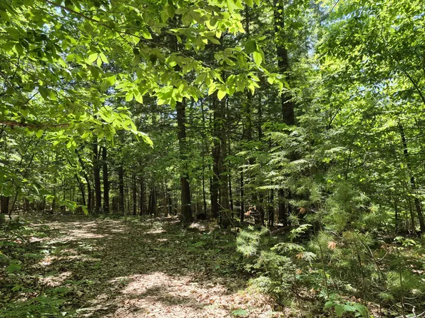Lot 36A Foster Lane, Belgrade, ME 04918