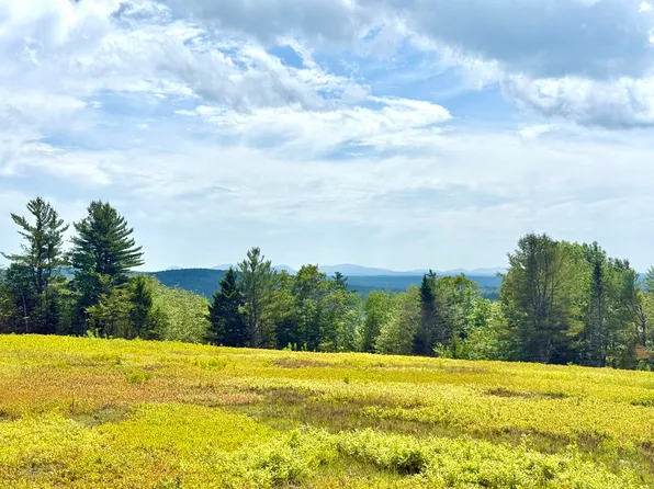 MAP13LOT11 Martins Ridge Road, Franklin, ME 04634