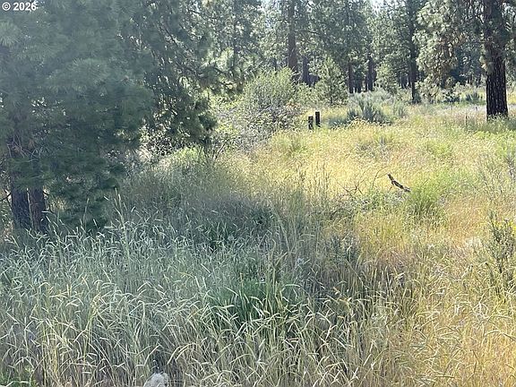 4th image of S Chiloquin Rd #100