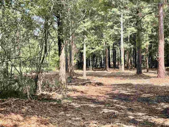 Howard Ln, Counce, TN 38326