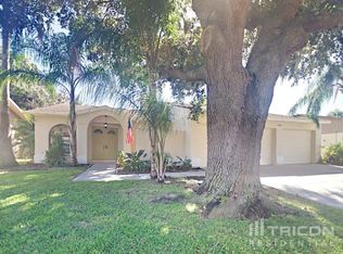 12916 Astorwood Pl, Riverview, FL 33579