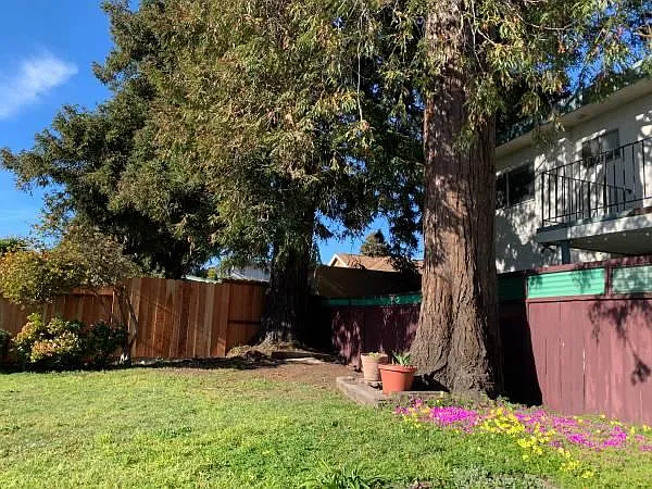 2 bed, 1100 sqft, $3,150 — Photo 3