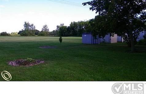 back yard with shed.jpg