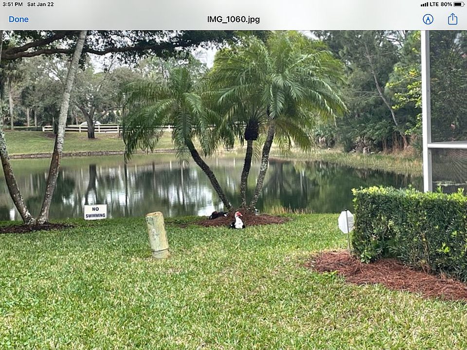 Wildlife activity 