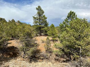 1025 Pine Needles Rd #9, Weston, CO 81091