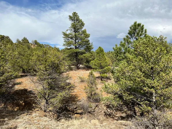 1025 Pine Needles Rd #9, Weston, CO 81091