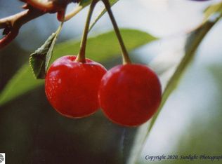 551 Potter Rd E, Traverse City, MI 49696